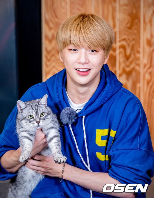  강다니엘.스타로드 본격 TMI 대방출 [VLIVE ]