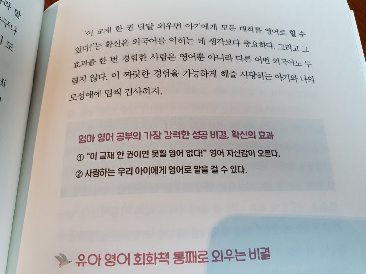  엄마표 영어 17년 보고서(2016) : 핑계대지 말고 꾸물거리지 말고