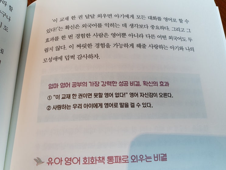 엄마표 영어 17년 보고서(2016) : 핑계대지 말고 꾸물거리지 말고