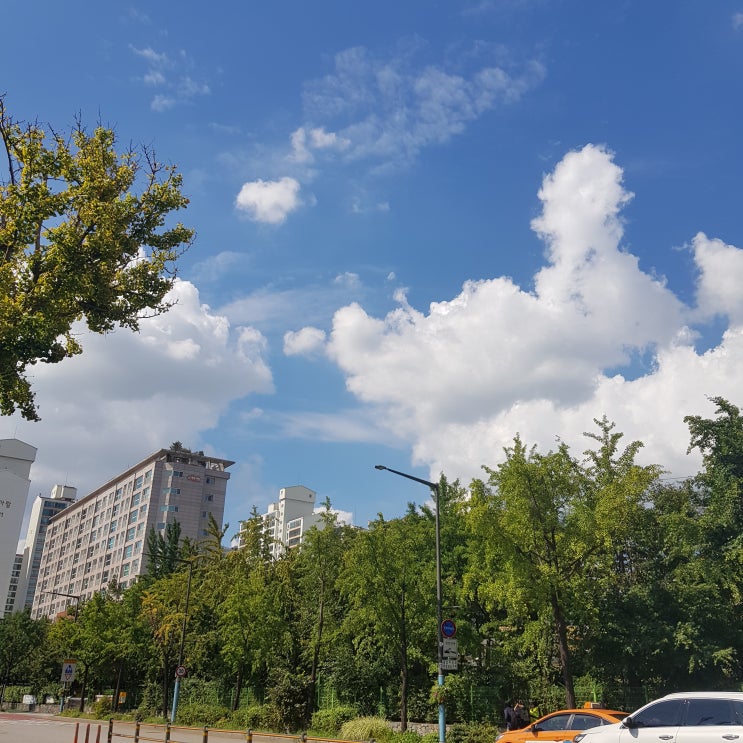  2019년 9월 일상이야기