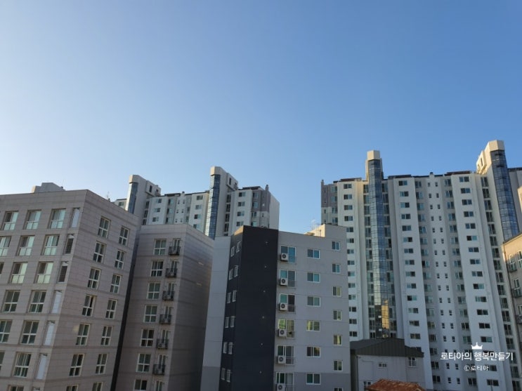  [일상] 10월 첫째주 일상 이야기 , 부제. 주간밥상 아니고 주간먹방