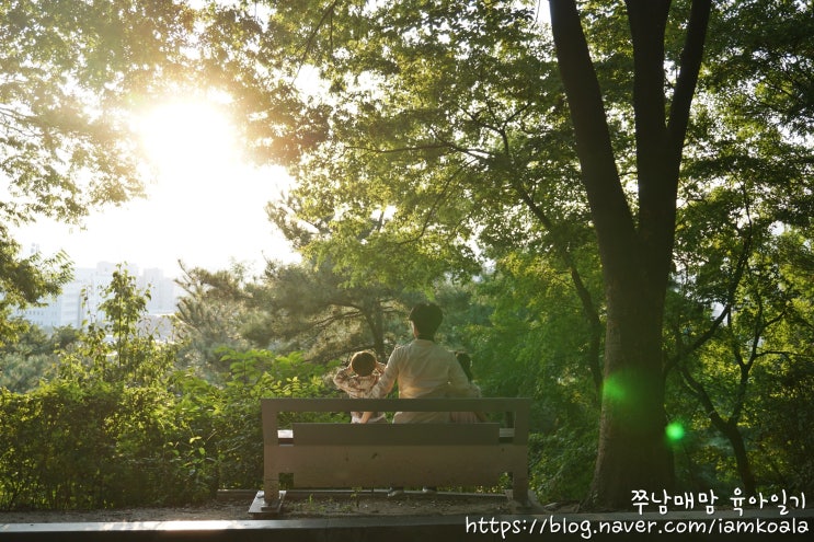  [남매 육아일기] 대학로 마로니에공원, 이화동벽화마을 가족나들이 / 일산 호수공원 자전거 트레일러 타고 달려!