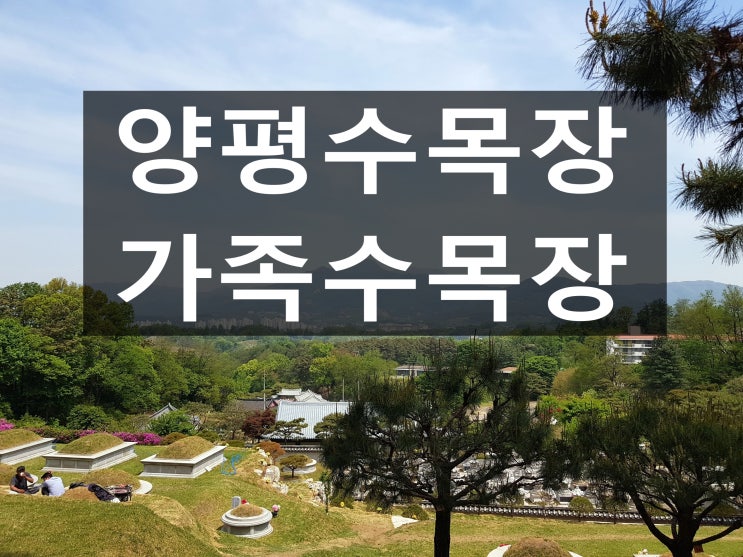  양평 수목장 착한 가격으로 모실수 있어요.