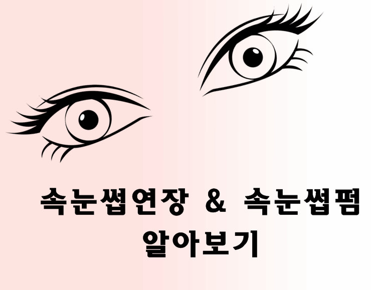  알아보자! 속눈썹 연장 & 속눈썹 펌 정보