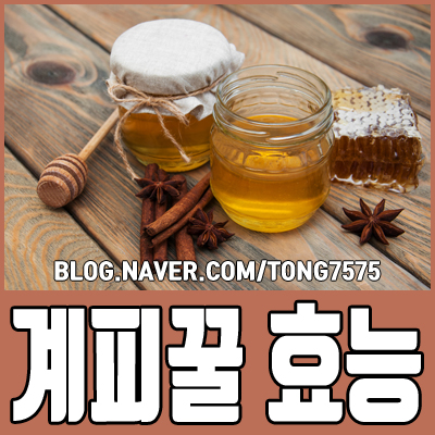  계피꿀 효능 이거였구나