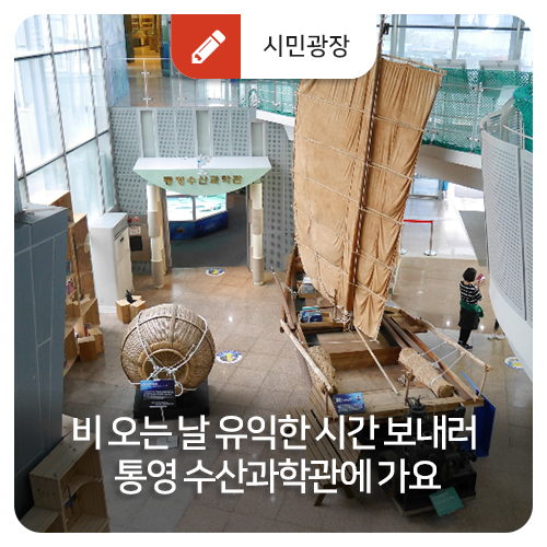  비 오는 날 유익한 시간 보내러 통영 수산과학관에 가요