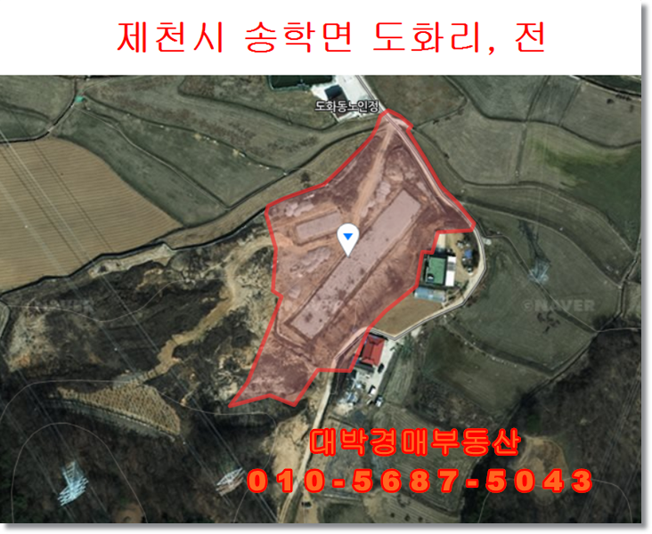  충북경매 제천 송학면 도화리 토지 경매 대박경매부동산 땅