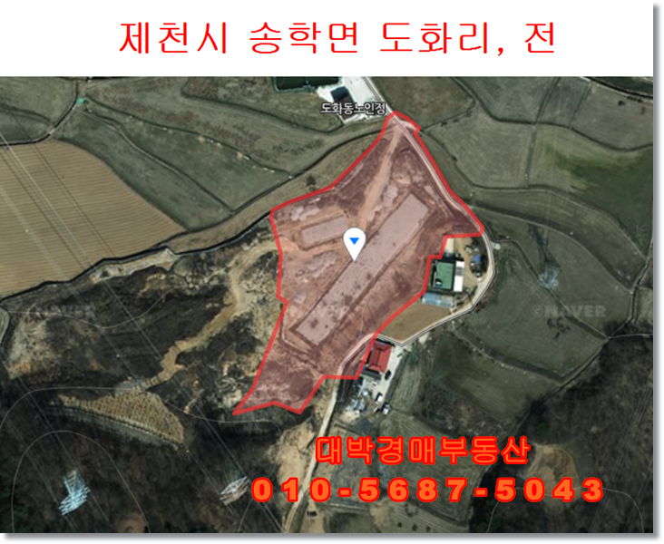 충북경매 제천 송학면 도화리 토지 경매 대박경매부동산 땅