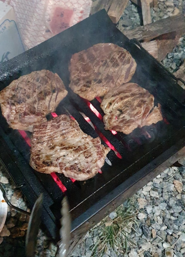  캠핑장 기생모드