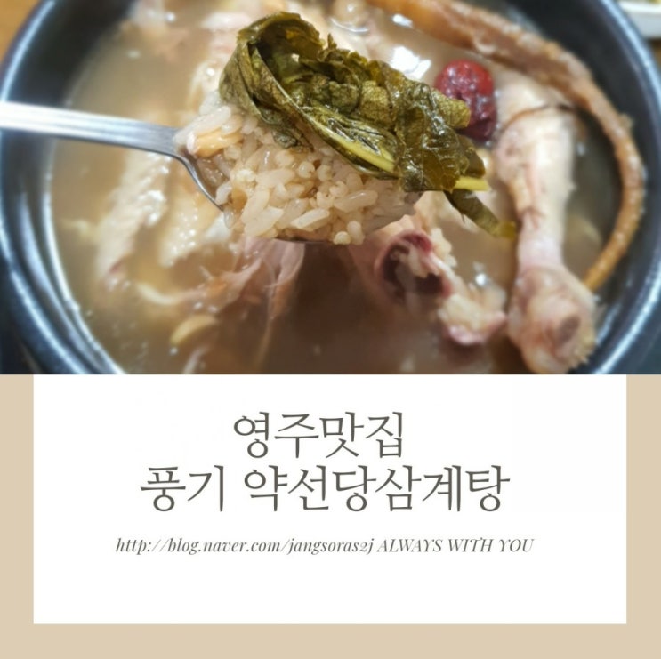  영주맛집 약선당삼계탕 한그릇 꿀맛