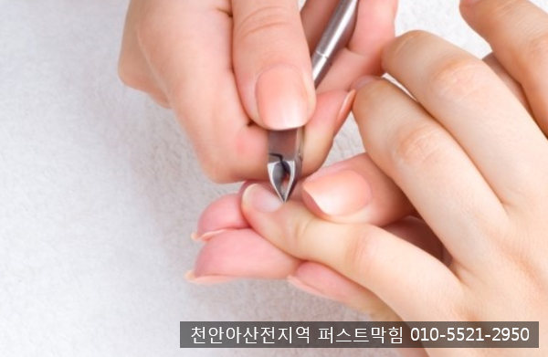  천안 아산 하수구막힘 / 남자 손톱 관리의 모든 것