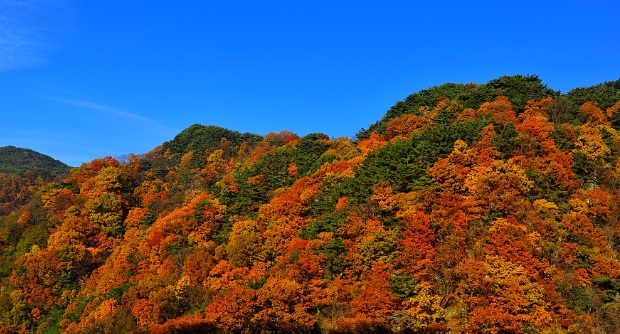  야외활동하기 좋은 가을, 임산부 주의할 점