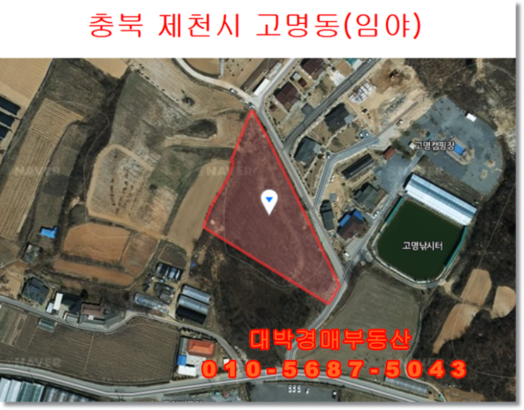  충북경매 제천 고명동 임야경매 대박경매부동산 토지 땅