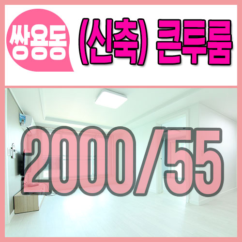  천안쌍용동투룸 월세 한달공짜