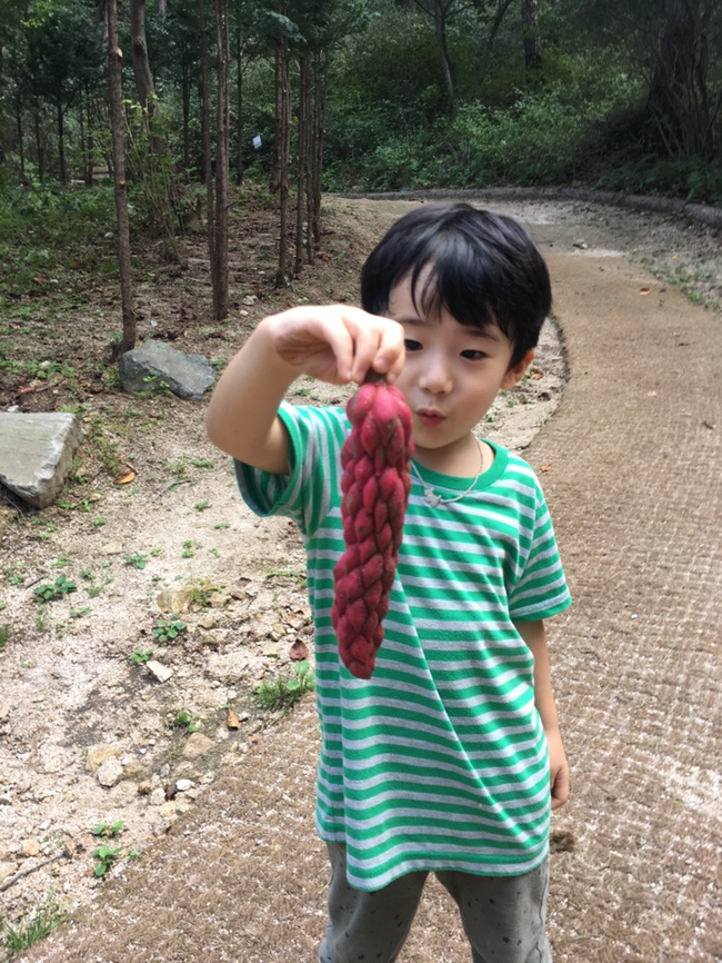  아이와 갈만한 곳 - 포천 평강랜드