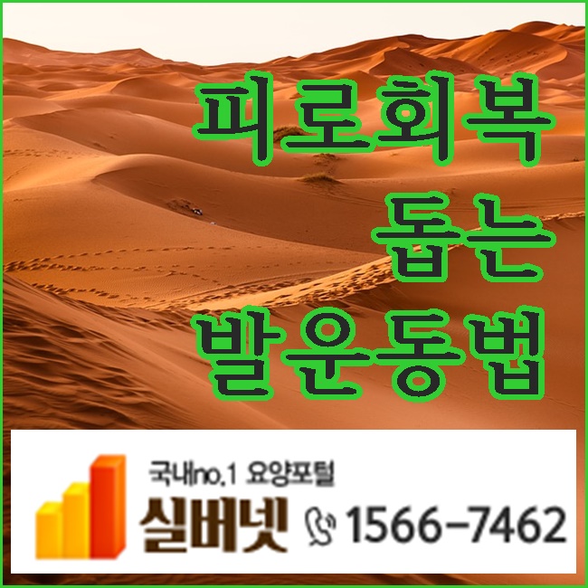  피로회복을 돕는 발운동법