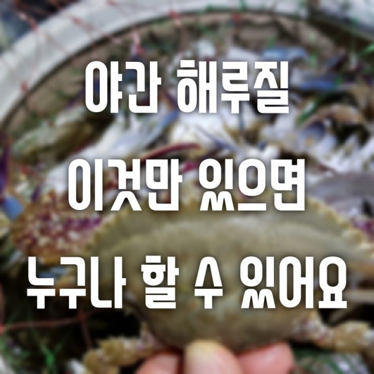  태안 몽산포해루질 이 장비만 있으면 나도 할 수 있다
