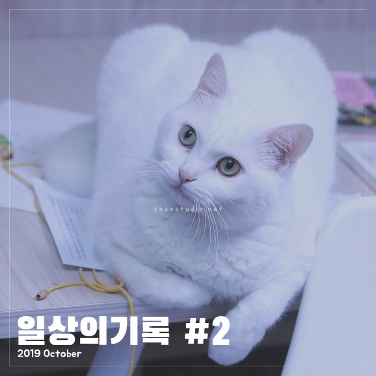  5dmark4,IPHONEX) Oct 2-3,2019 - 일상 다이어리