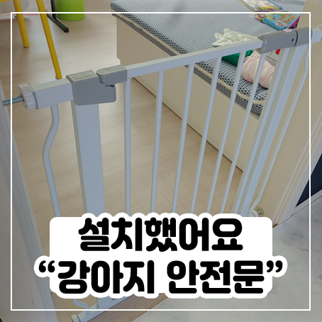 강아지 안전문 설치해봤어요 강아지 안전문 설치해봤어요