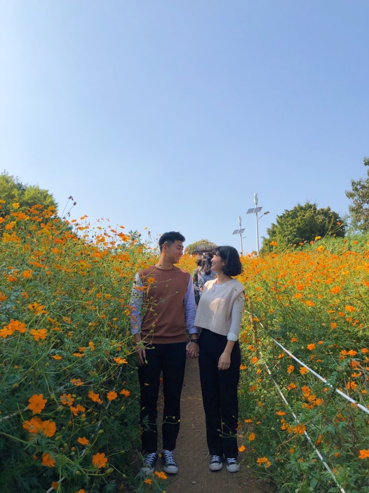  데이트로그[여의도한강공원/올림픽공원 들꽃마루, 나홀로나무]