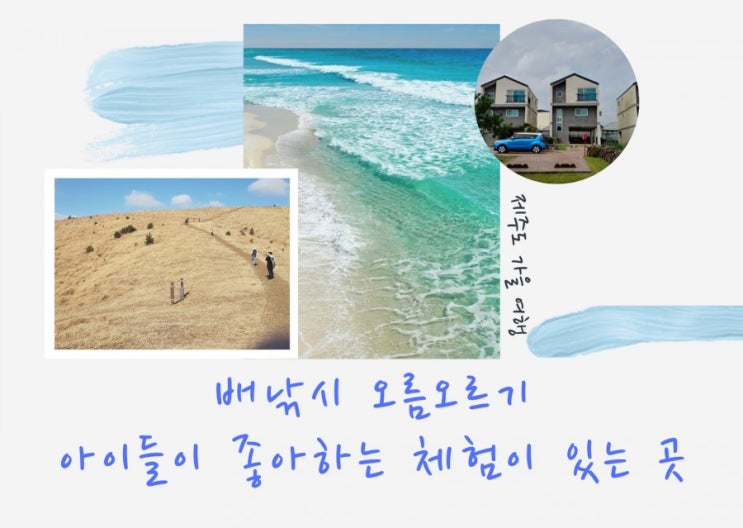 제주,제주도 독채 민박 올레길 바다3분 배낚시체험 해비치펜션
