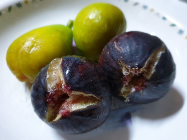  97. 하바구무화과 - 흑무화과 (Punch Berry Figs) / 아드리아 무화과 (Adriatic Figs)