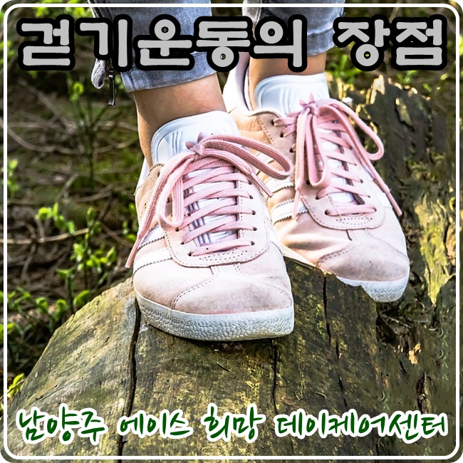  [남양주 에이스희망데이케어센터] 어르신 걷기운동의 장점