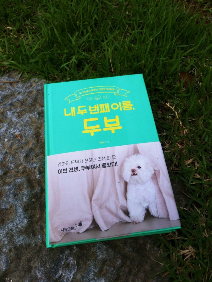  107. 「내 두번째 이름, 두부」 곽재은