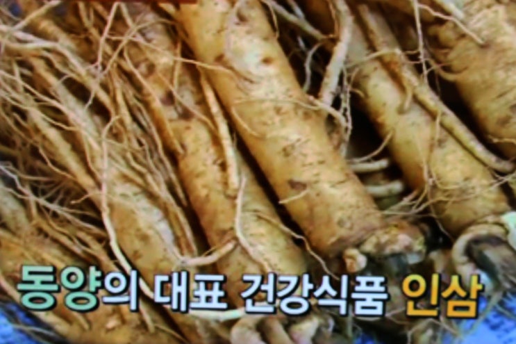  진세노사이드 흡수율이 그렇게 중요한가요?