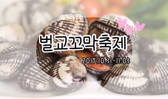  벌교꼬막축제 2019