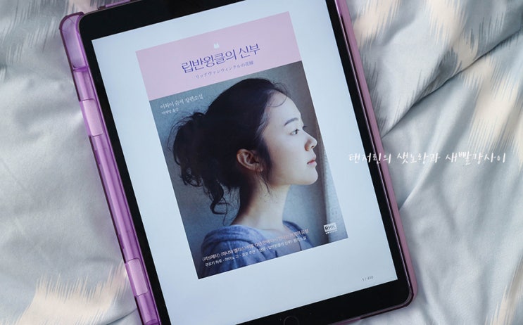  영화보단 이해가 되는 책 이야기 립반윙클의 신부