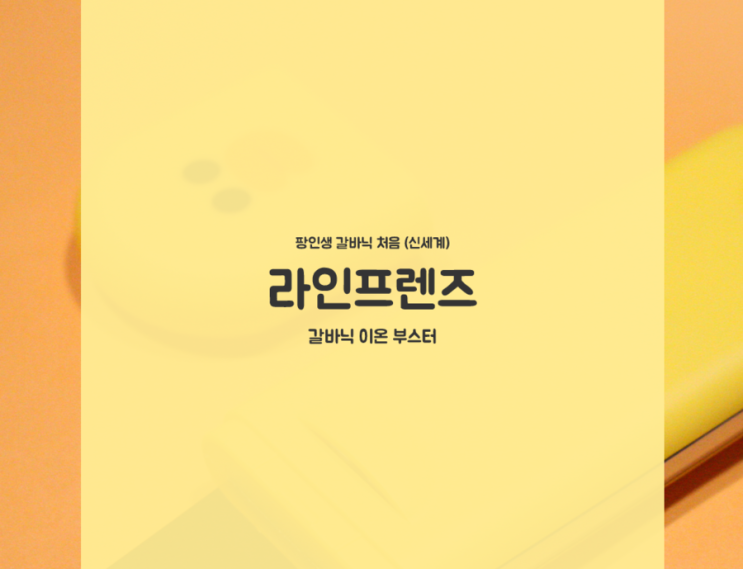  갈바닉마사지기 : 라인프렌즈 이온부스터 3단계 피부관리!