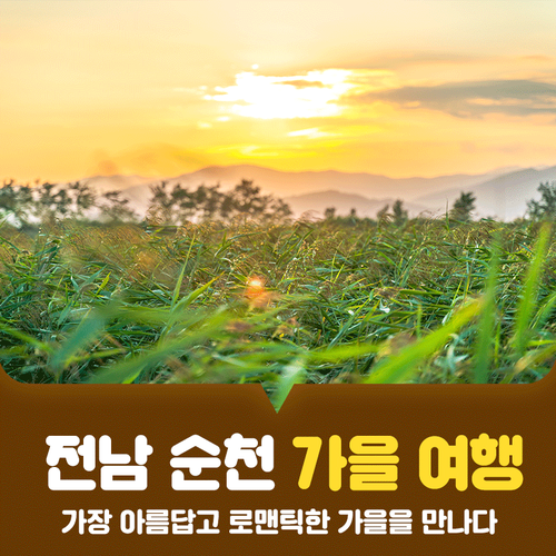  국내 가을여행지, 순천 당일치기 코스 추천해요