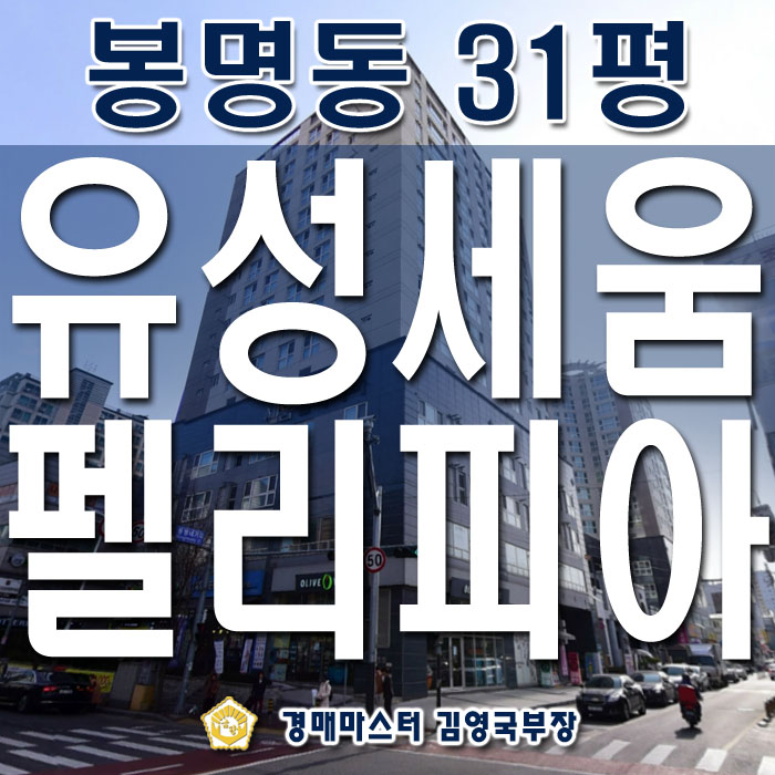  대전시 임대수익용 주상복합아파트 유성세움펠리피아