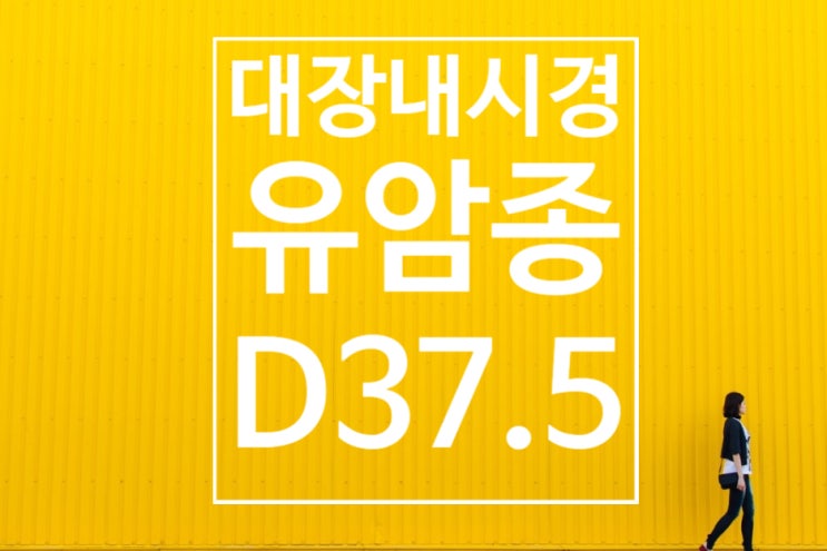  대장내시경 직장유암종(carcinoid tumor)진단 D37.5 암진단 보험금 문제!