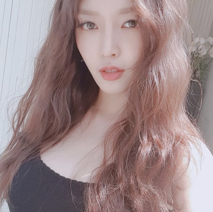  AOA 찬미 나이 키 몸매 다이어트 퀸덤 유튜브 엄마 인스타