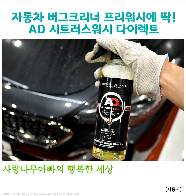  자동차 버그크리너 프리워시 했어요~