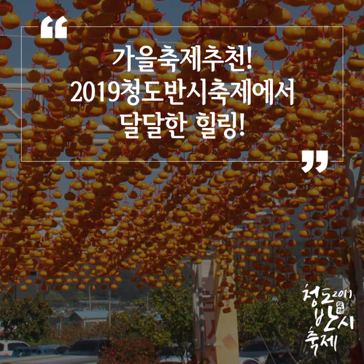  가을축제추천! 2019청도반시축제에서 달달한 힐링!