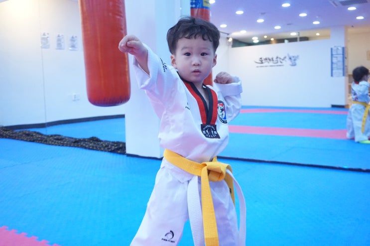  의정부 4세/5세/6세 유아전문태권도장! 요즘 핫한 호원동 청춘태권도장!(유치부/초등부/중고등부)