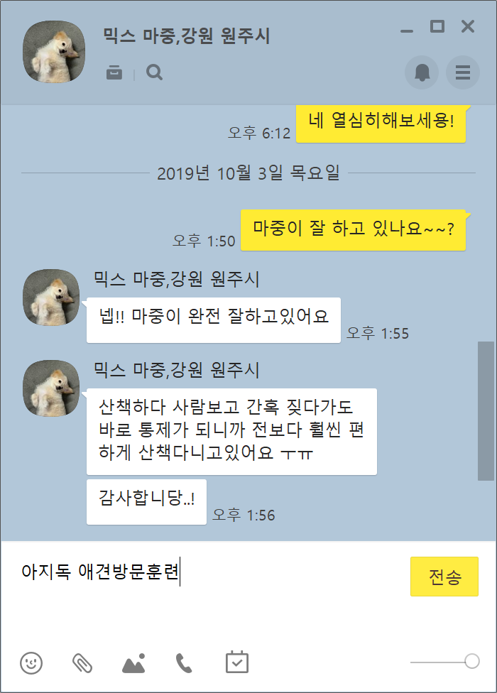  강아지 출장교육으로 짖는 문제 해소!