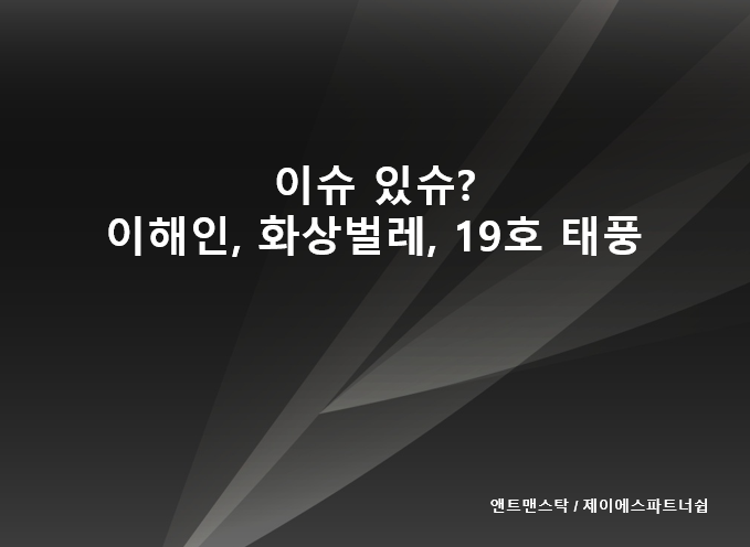  이해인, 화상벌레, 이수진프로, 19호 태풍 등