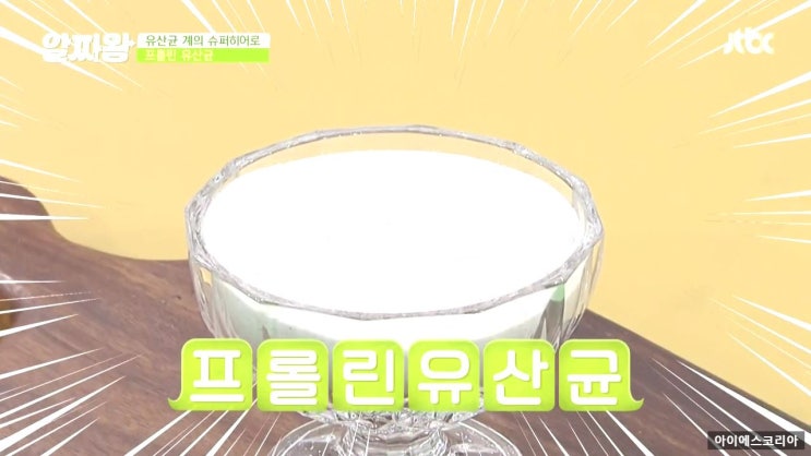  프롤린유산균 효능과 허와 실