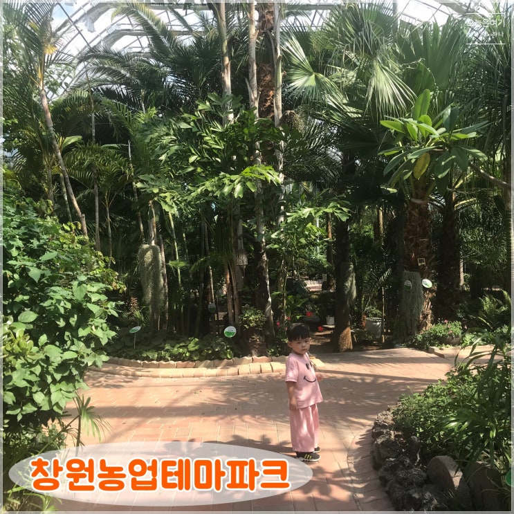  창원 아이들과 가볼만한곳 아열대 식물원이 있는 창원농업테마파크