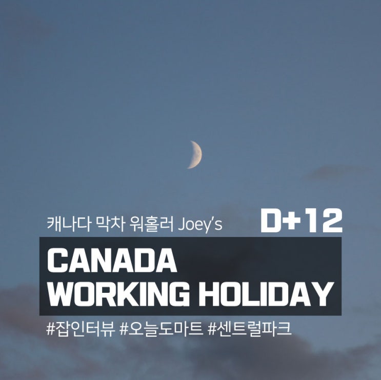  캐나다 막차 워홀러 : D+12 : 잡인터뷰 / 리얼캐내디언슈퍼스토어 / 센트럴파크
