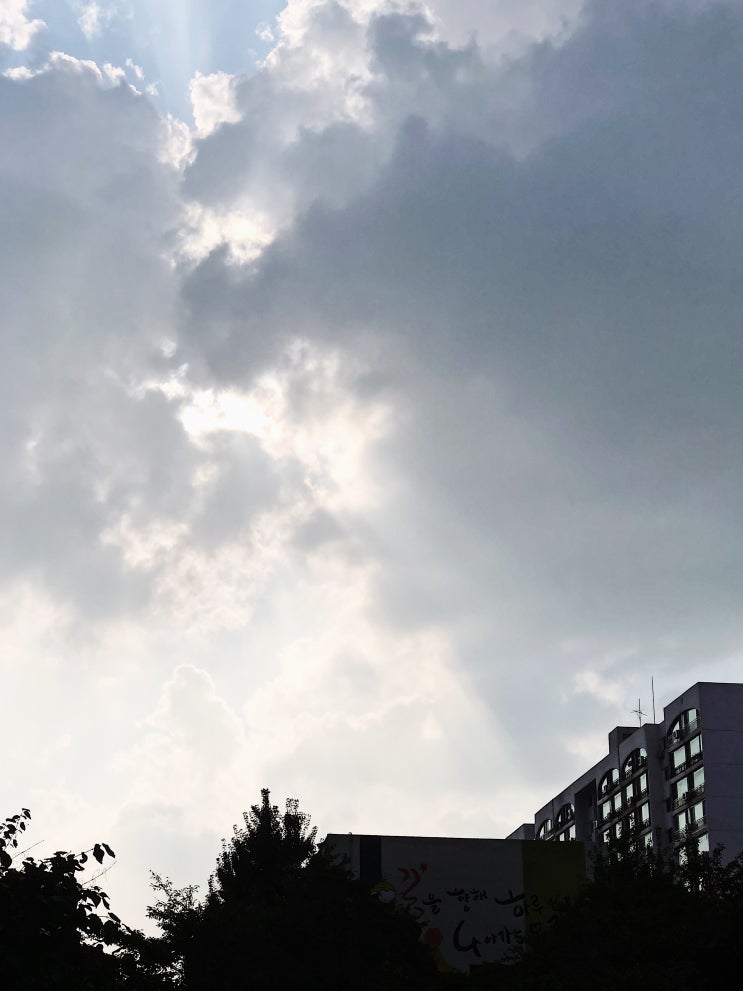  오늘날씨 20191004 날씨맑음