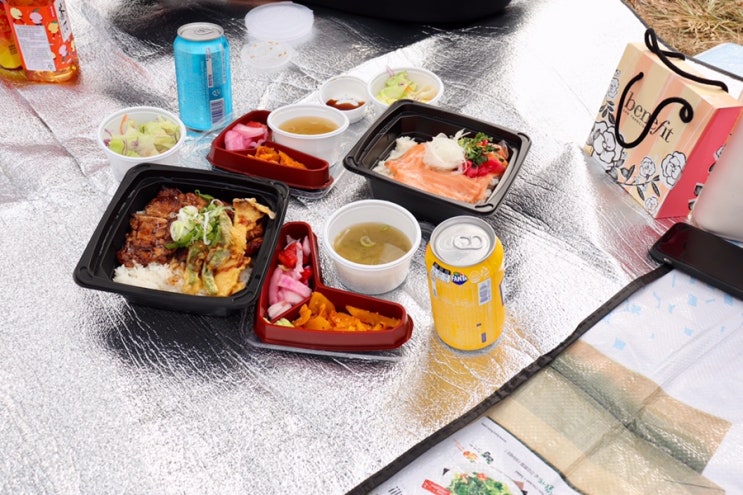  여의도점심은 IFC몰맛집 믿음직화 직화닭갈비 강추/포장하고 한강에서 광합성하고 왔어요