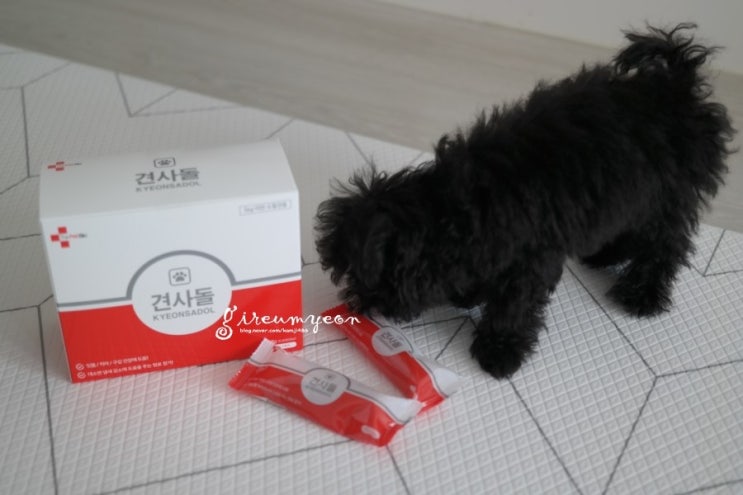  강아지치석제거 최고 좋은 개껌 " 견사돌 " 추천 ^-^