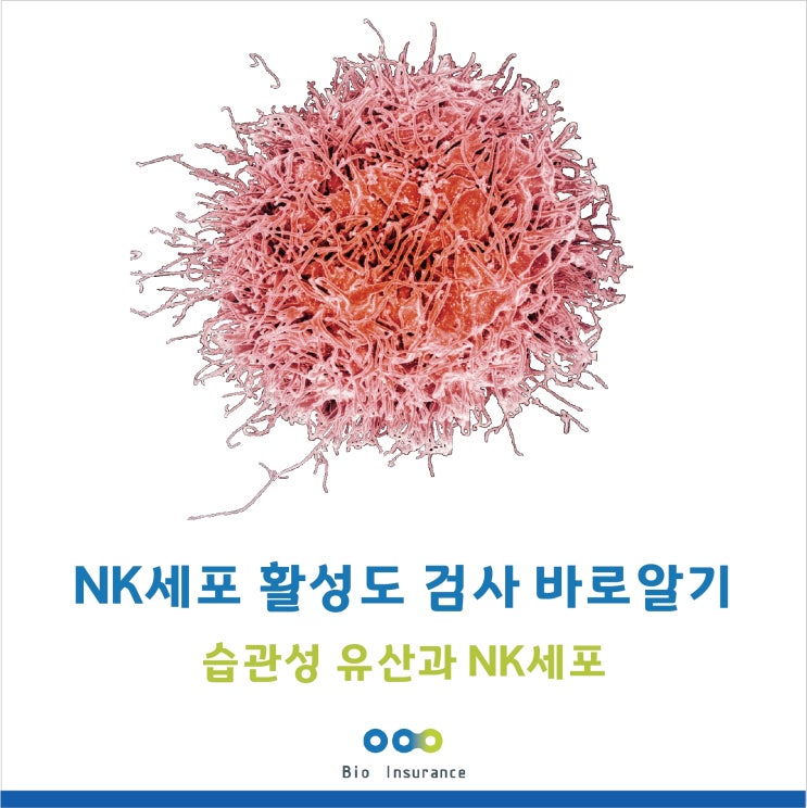  NK Cell 수치 바로 알기 (NK cell activity test)