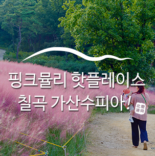  칠곡 가산수피아, 핑크뮬리와 볼거리로 새롭게 뜨는 핫플레이스 :: 칠곡여행, 칠곡데이트코스, 칠곡핫플레이스, 가을꽃, 경북가볼만한곳