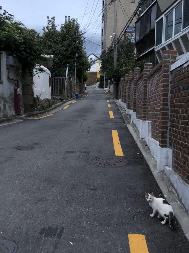  난안믿을래가을